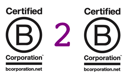 B2B; Business for good; B the Change; The B Series; Business to Business; Social Business